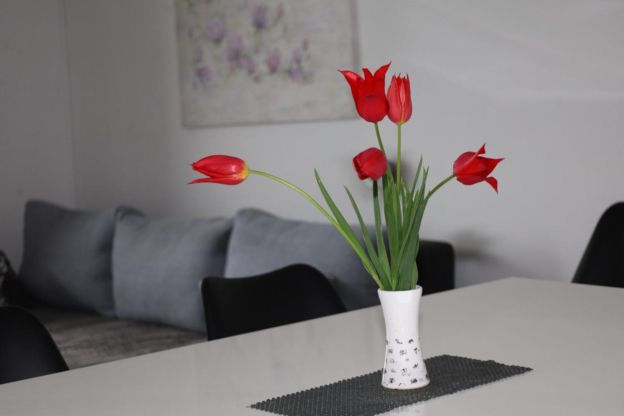 Apartma Javorscek Bovec Ngoại thất bức ảnh